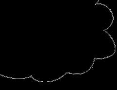 Imagen de un arbol decorativo